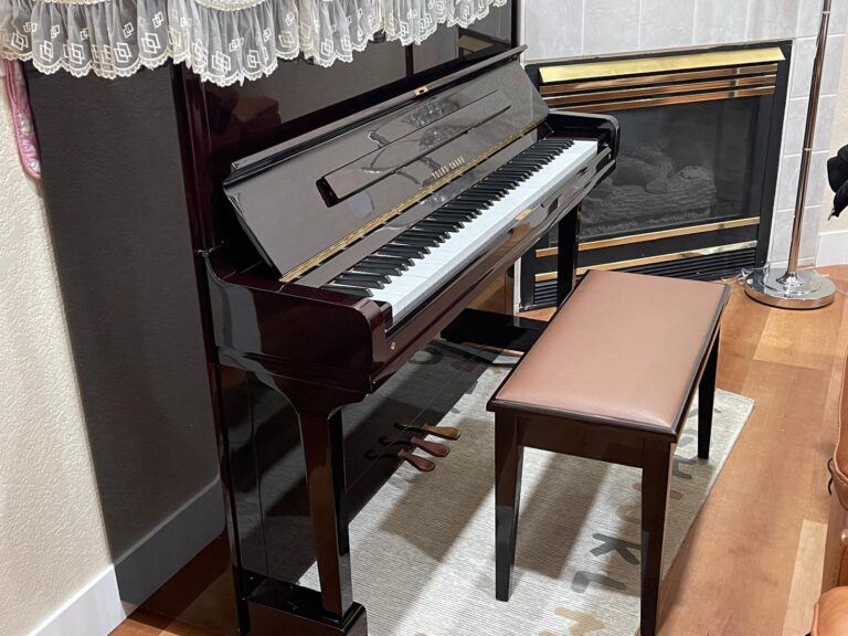 WhatsApp Image 2026-03-27 at 11.29.31 AM